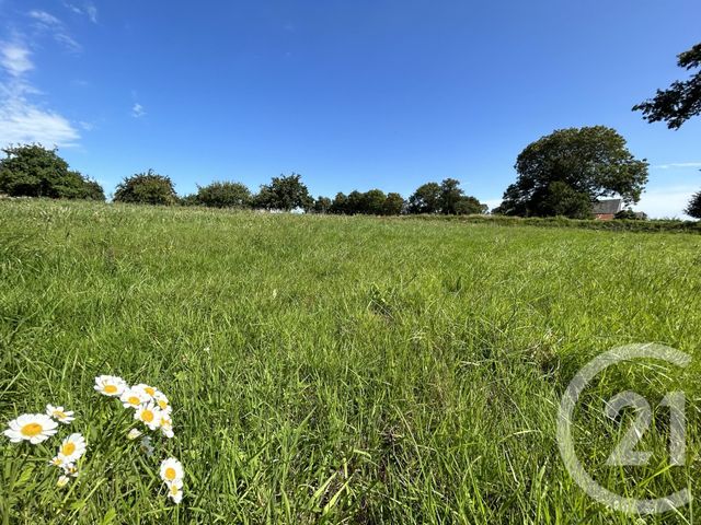 terrain - TOURVILLE SUR SIENNE - 50