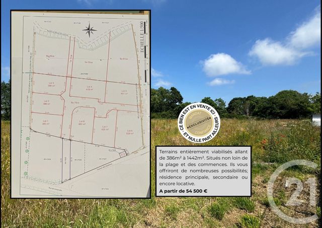 terrain - GOUVILLE SUR MER - 50