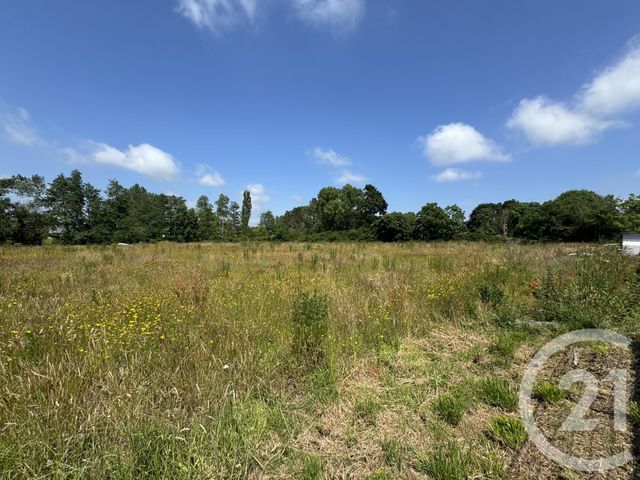 terrain - GOUVILLE SUR MER - 50