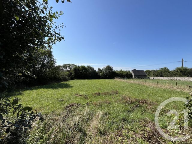 maison à vendre - 7 pièces - 170.0 m2 - AGON COUTAINVILLE - 50 - BASSE-NORMANDIE - Century 21 Royer Immo