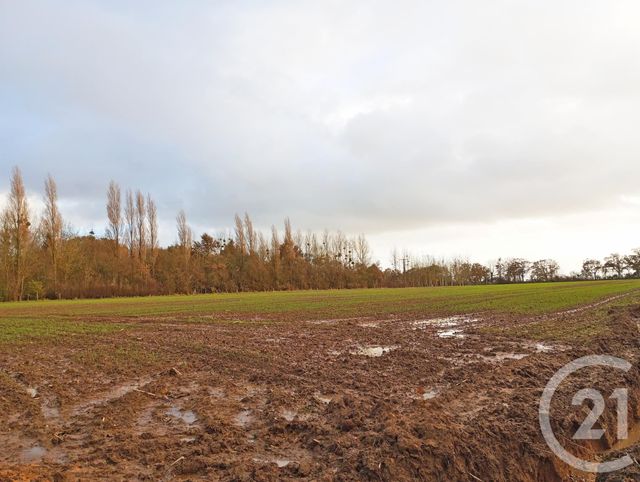 terrain à vendre - 584.0 m2 - ST AUBIN DES PREAUX - 50 - BASSE-NORMANDIE - Century 21 Royer Immo