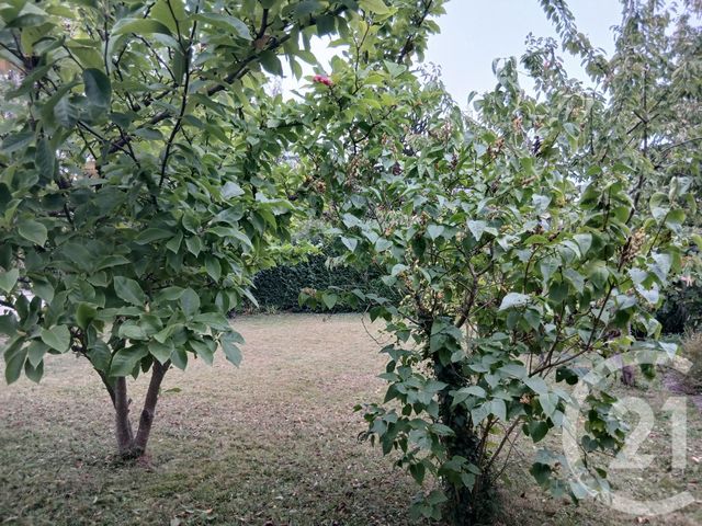 maison à vendre - 7 pièces - 158.0 m2 - DONVILLE LES BAINS - 50 - BASSE-NORMANDIE - Century 21 Royer Immo