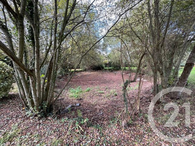 maison à vendre - 5 pièces - 225.0 m2 - GENETS - 50 - BASSE-NORMANDIE - Century 21 Royer Immo